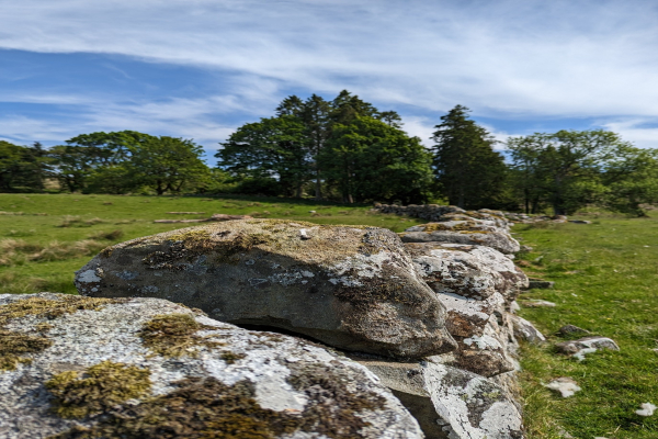 Dry stone wall