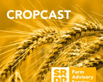 CropCast podcast