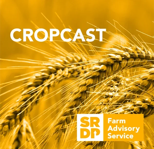 CropCast podcast