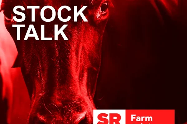 Stock Talk Podcast