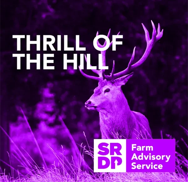 A deer with large antlers in a field, overlaid with the text "THRILL OF THE HILL," and a "SRDP Farm Advisory Service" logo. The image has a purple tint.