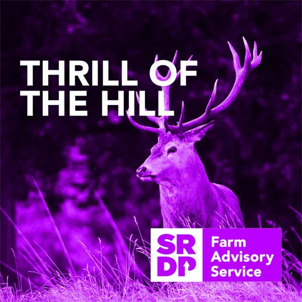 A deer with large antlers in a field, overlaid with the text "THRILL OF THE HILL," and a "SRDP Farm Advisory Service" logo. The image has a purple tint.