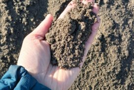 Wood fly ash