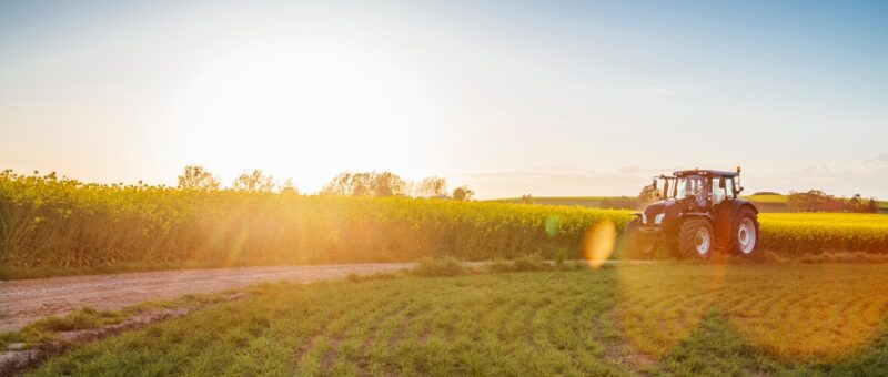 Image from Envato elements