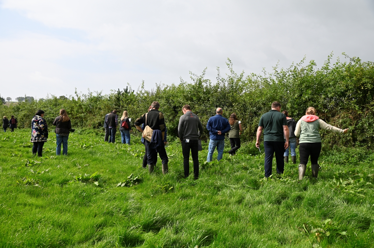 30th Aug EVE3103C Hedgerow Scoring Hedgerow scoring at Biodiversity Audit workshop in Dumfries, 2024