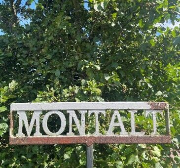 Motalt 1