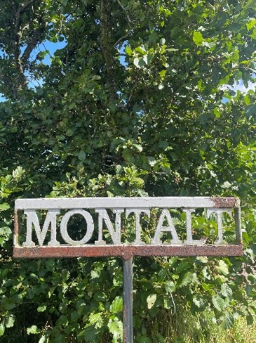 Motalt 1 Motalt 1
