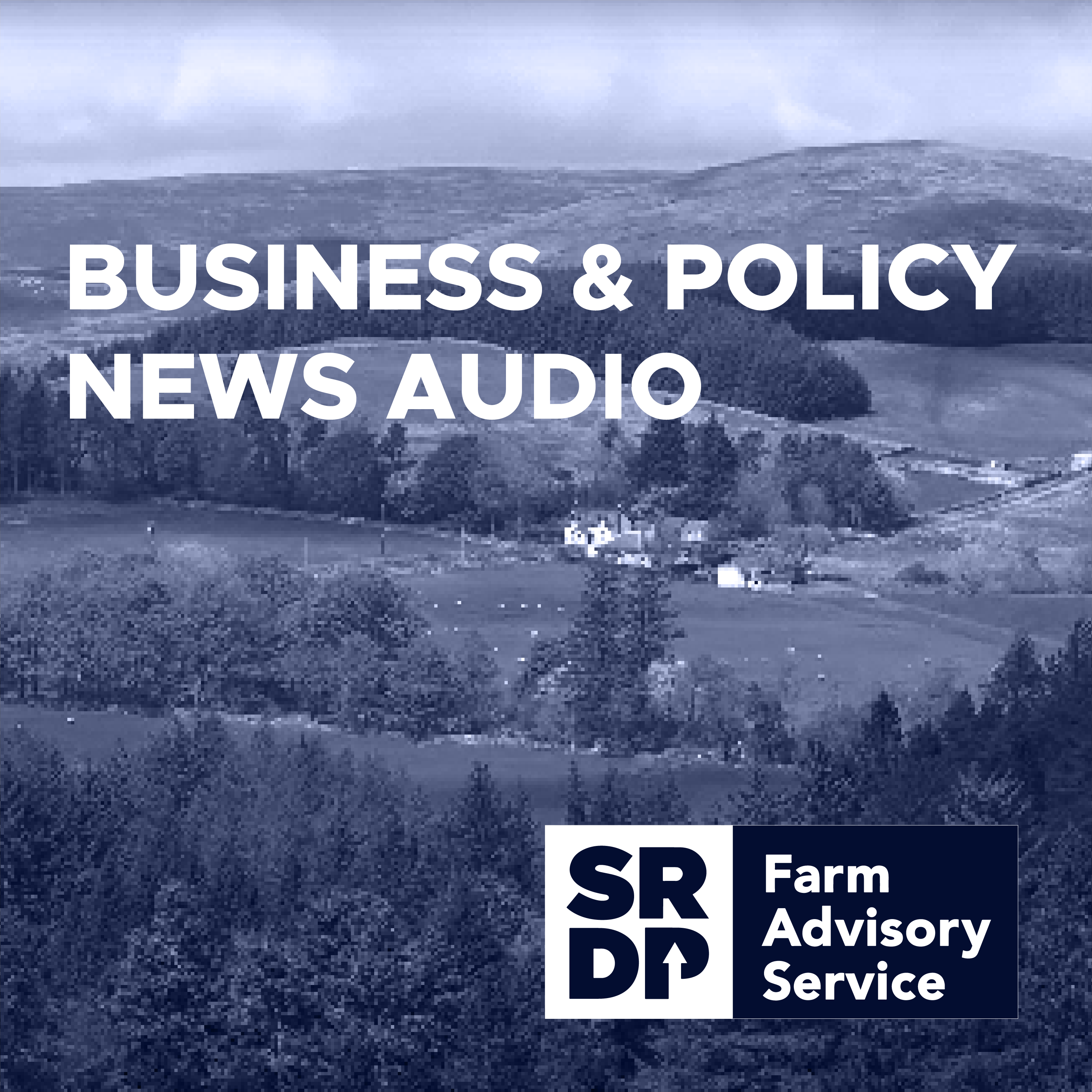 Business & Policy News Audio_01