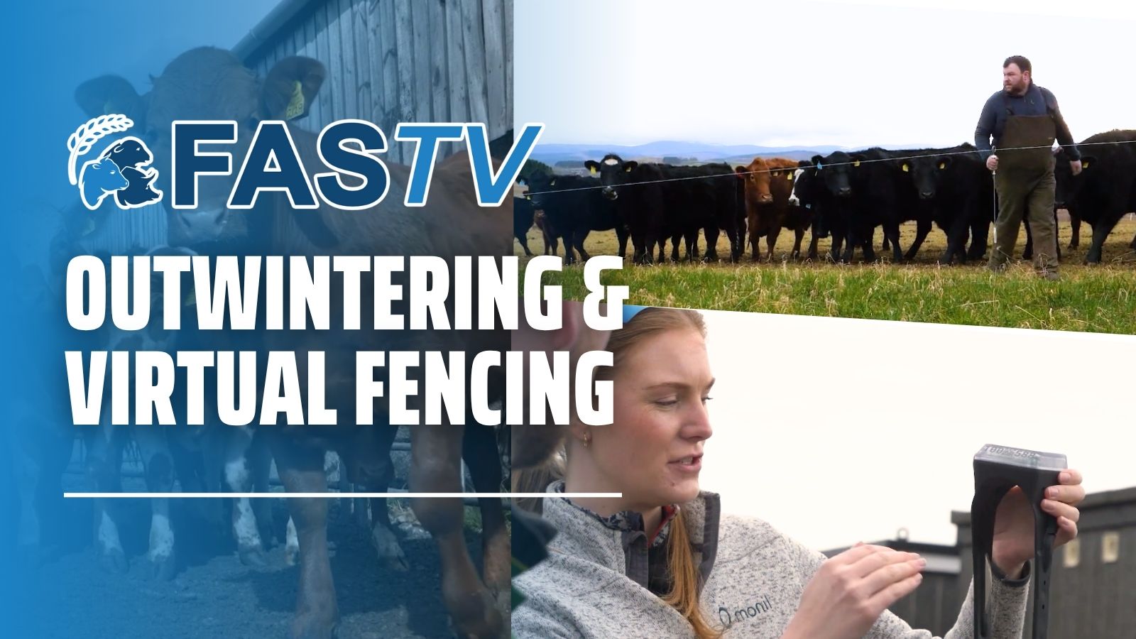 FAS TV S5 Outwintering Virtual Fencing