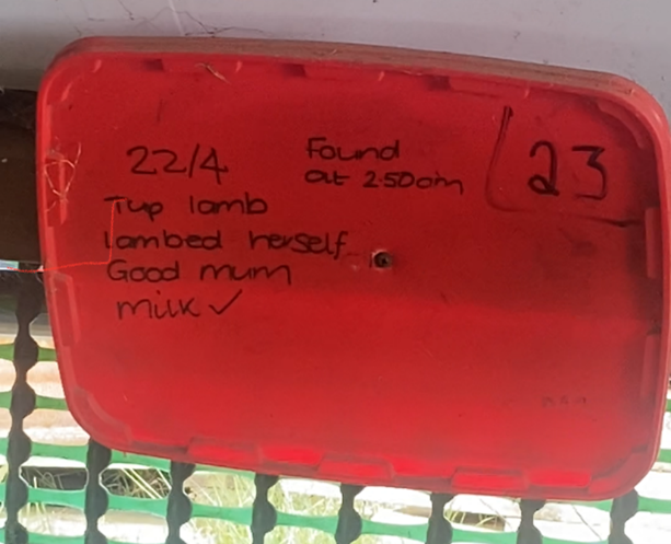 Meikle Tillyeve Farm Case Study Meikle Tillyeve Farm Case Study