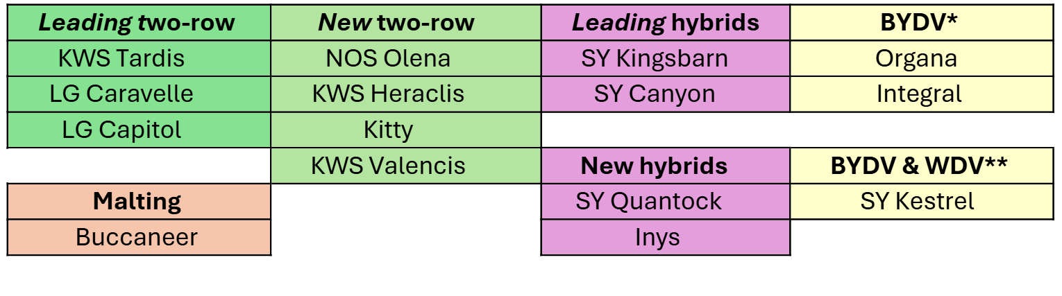 Barley Varieites Top Picks 2025 Barley Varieites Top Picks 2025