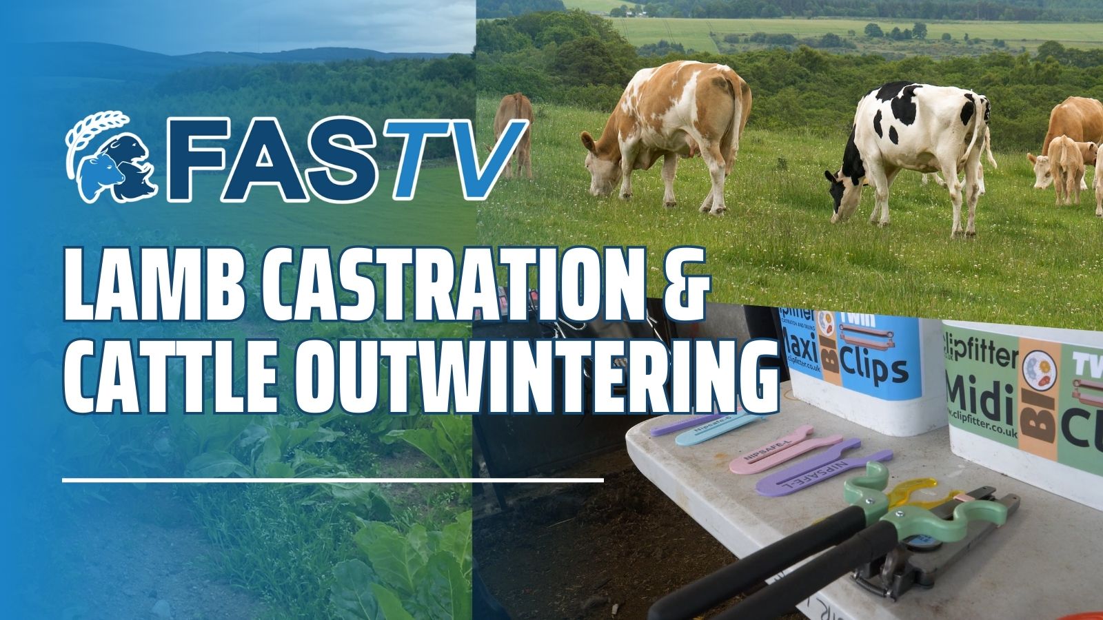 FAS TV S5 Thumbnails
