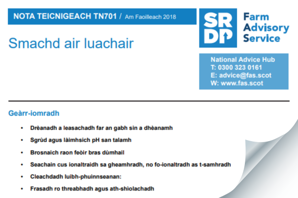 TN701 gaelic thumbnail