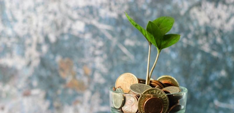 Pot of coins with plant growing out of it
