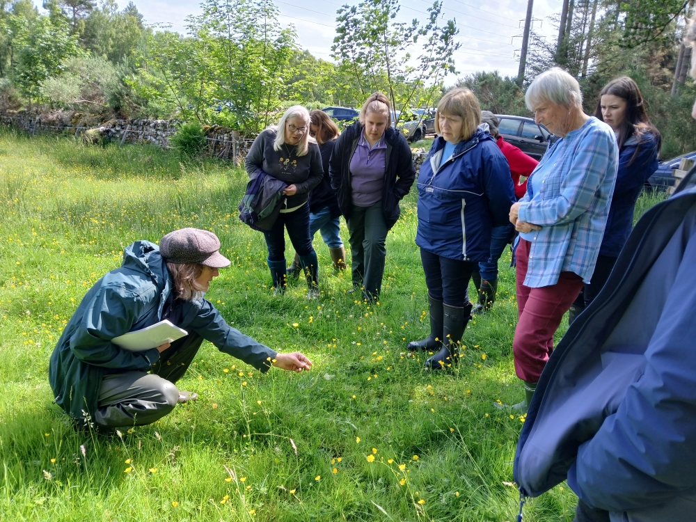 26th June EVE4100D Ross-shire Women in Agriculture In Field