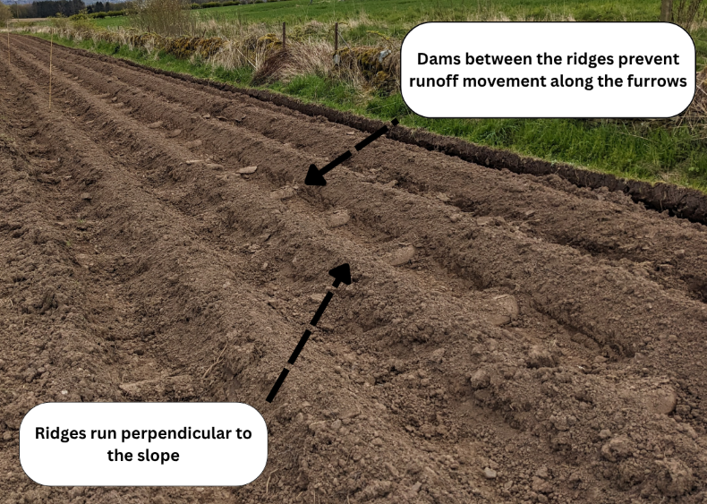 MagicMargins_Dams_v3 MagicMargins_Dams_v3