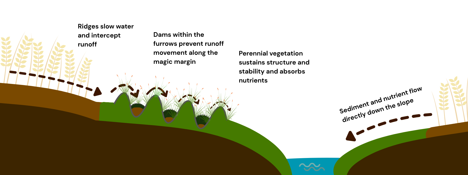 diagram-magic-margins-water diagram-magic-margins-water