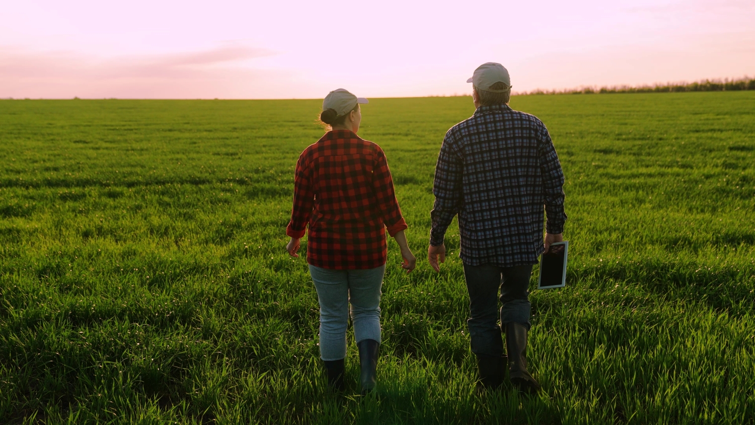 field-farmer-walking_shutterstock field-farmer-walking_shutterstock