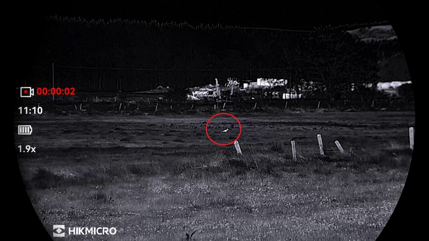 Thermal imaging curlew