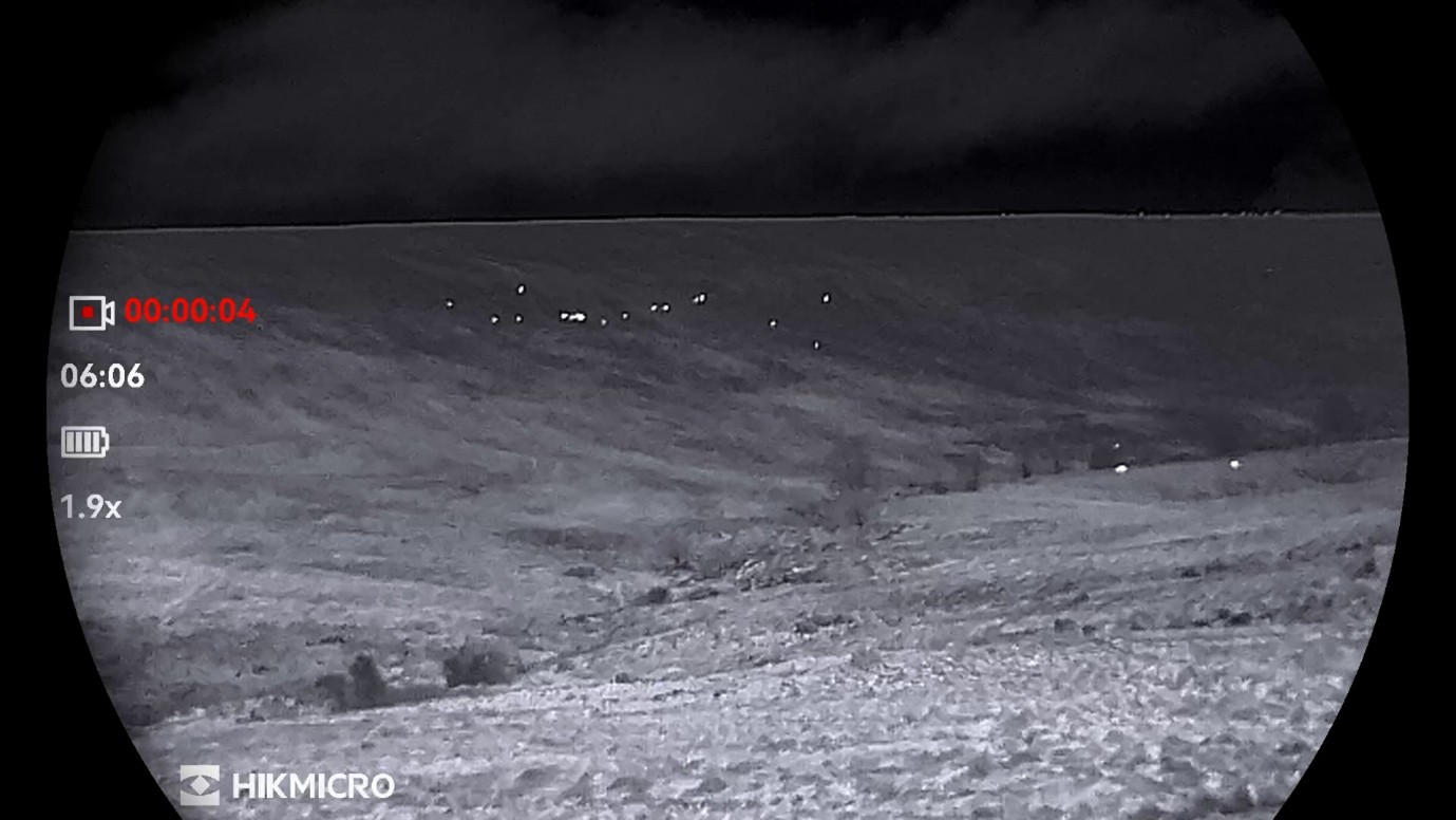 Thermal imaging deer