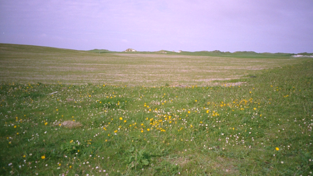 cropped machair-western isles