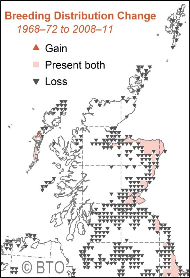 map-cornbunting-breeding