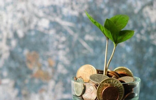 Image from Micheile Henderson, Unsplash