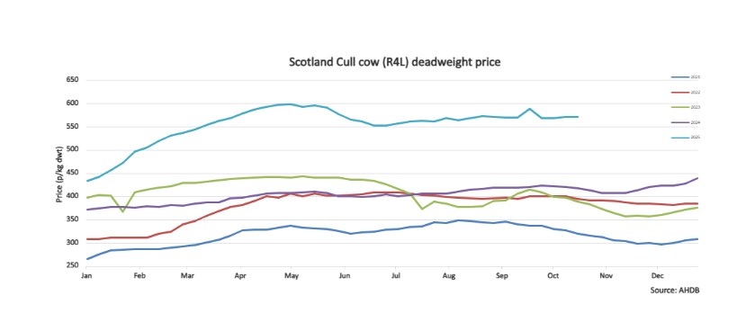 Beef Outlook 2 BP Nov