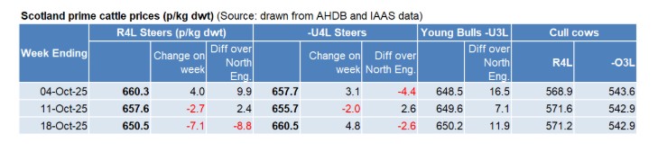 Beef Outlook 3 BP Nov