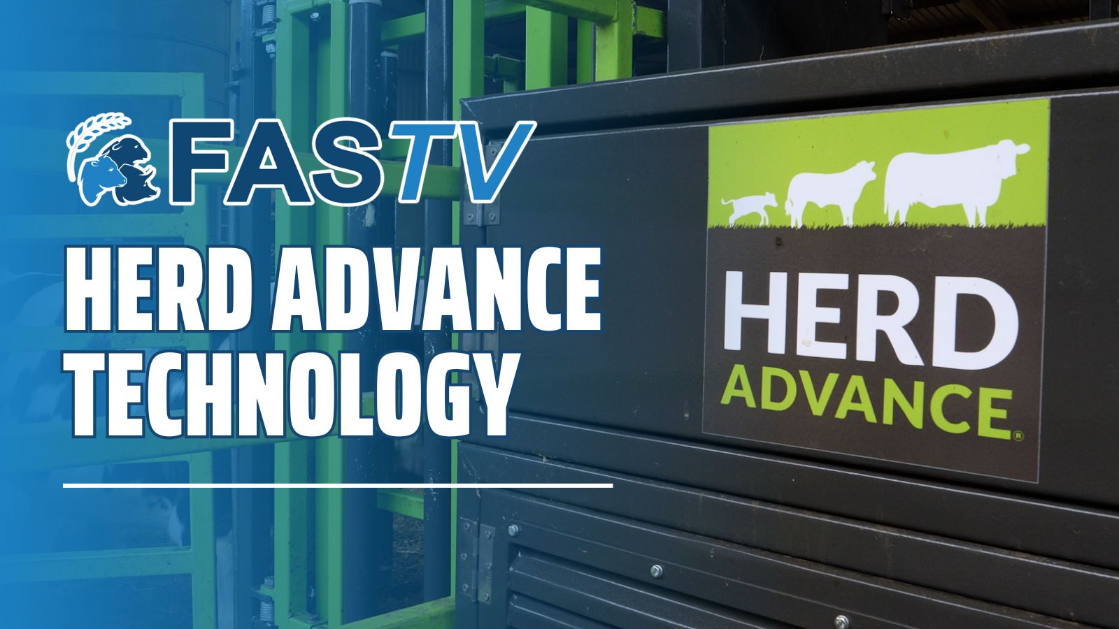 Ep 15 Herd Advance
