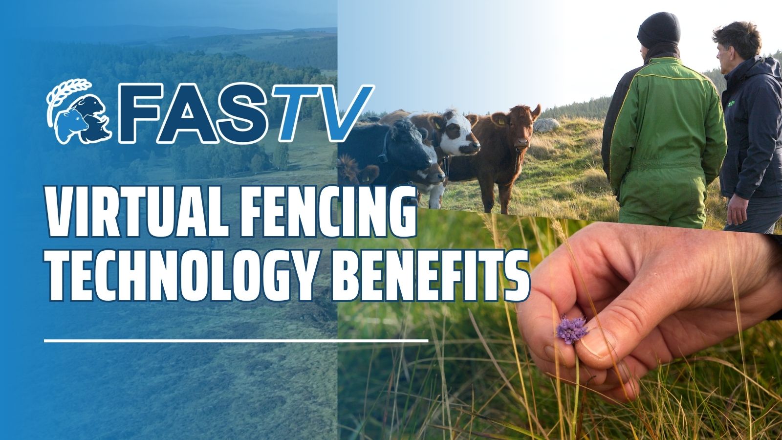 Ep 17 Virtual Fencing Technology