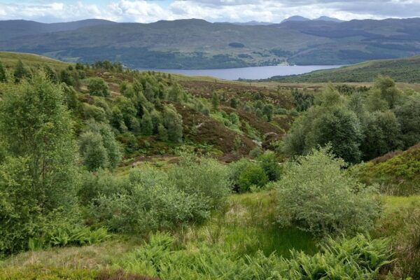 What is Natural Capital?