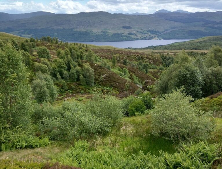 Image by Paul Chapman