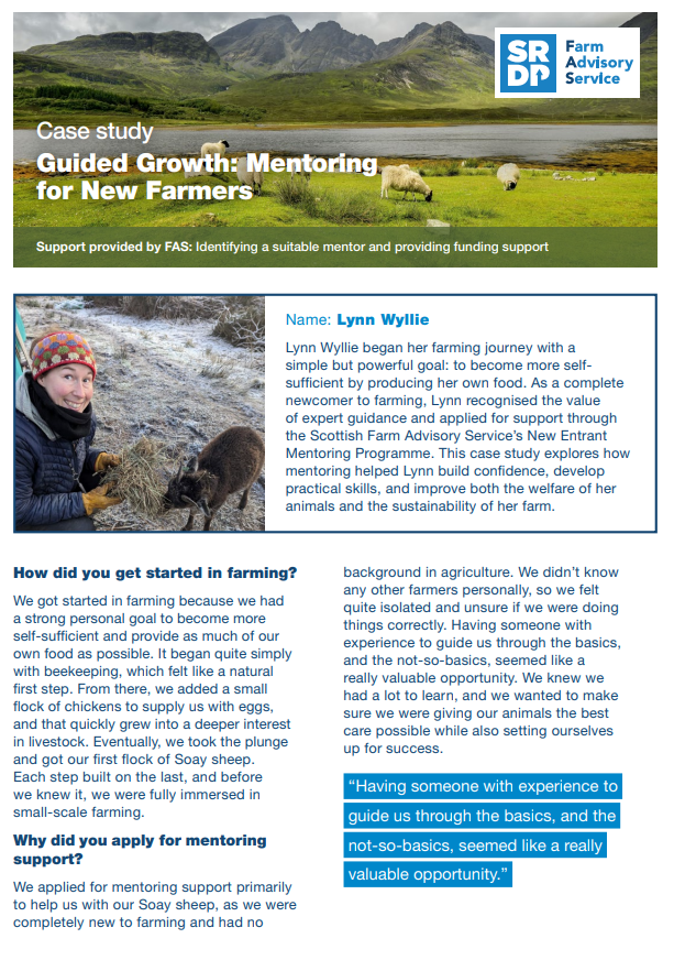 Lynn Wylie Case Study