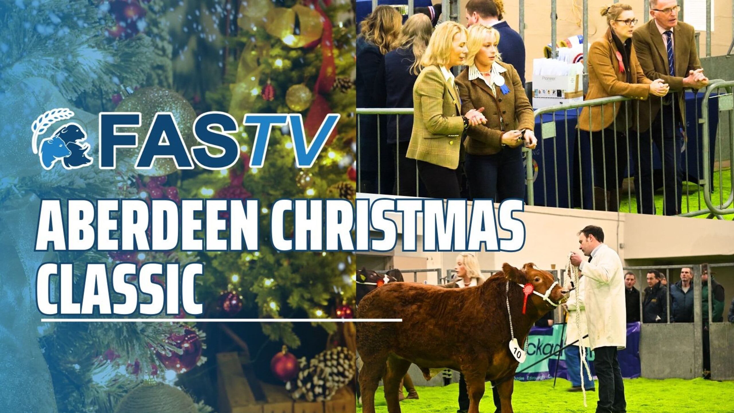 C Classic 2_imresizer (1)