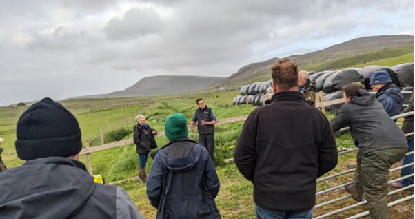 Scuddaburgh-Corncrake_habitat2