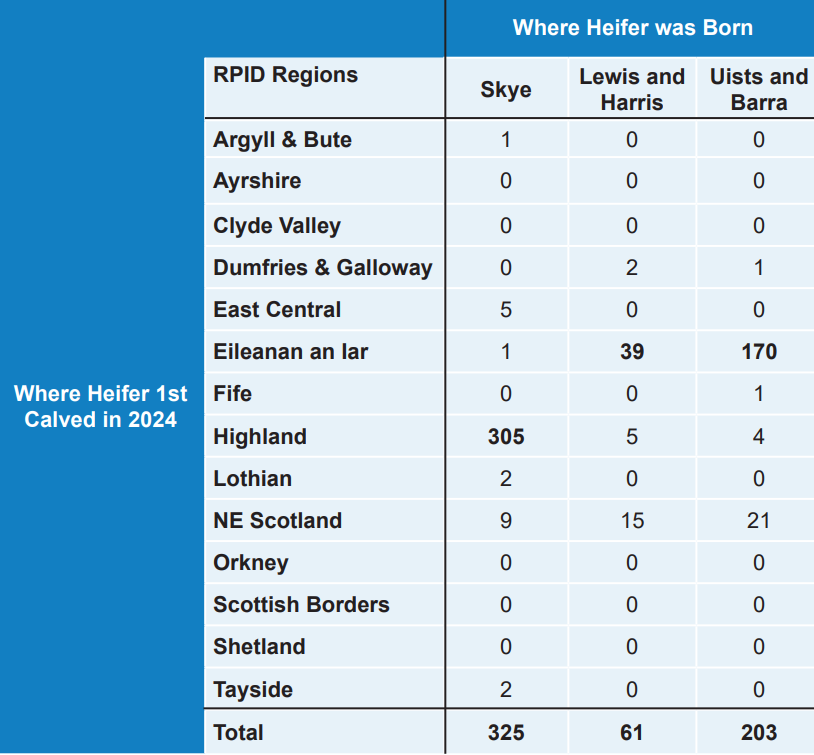 West Coast Calves Heifer First Calved