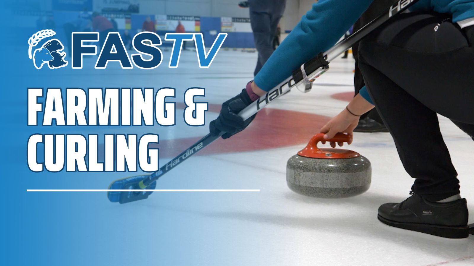 Ep 26 - Curling