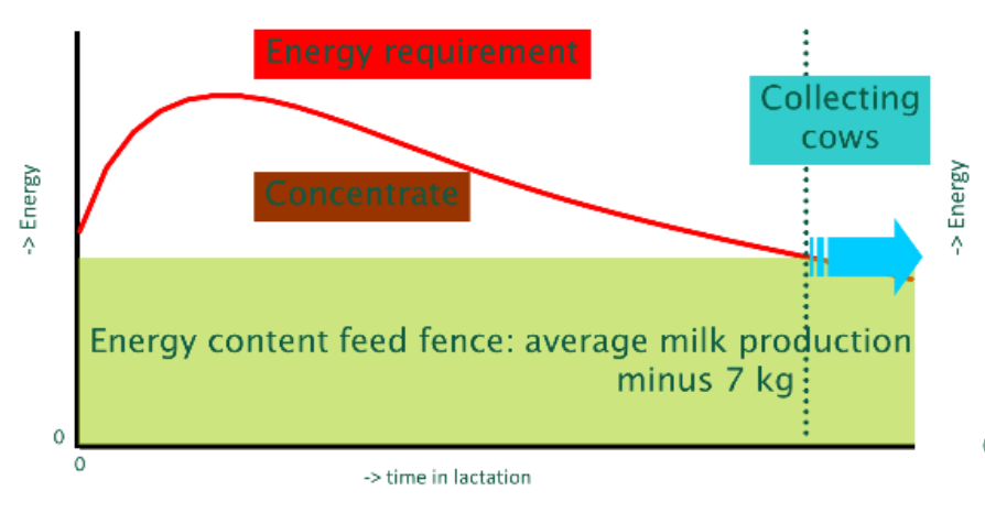 Automated Milking Nutrition 1