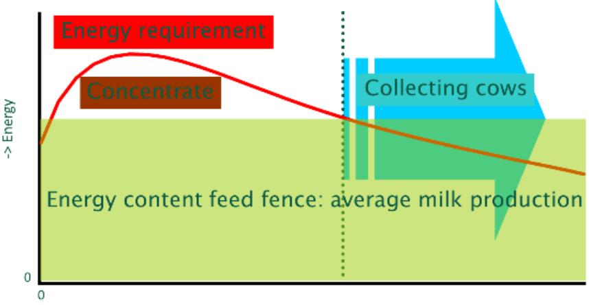 Automated Milking Nutrition 2