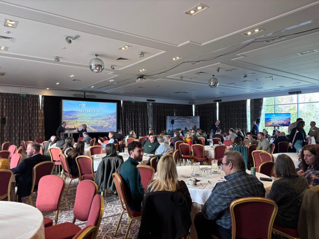 Conference attendees