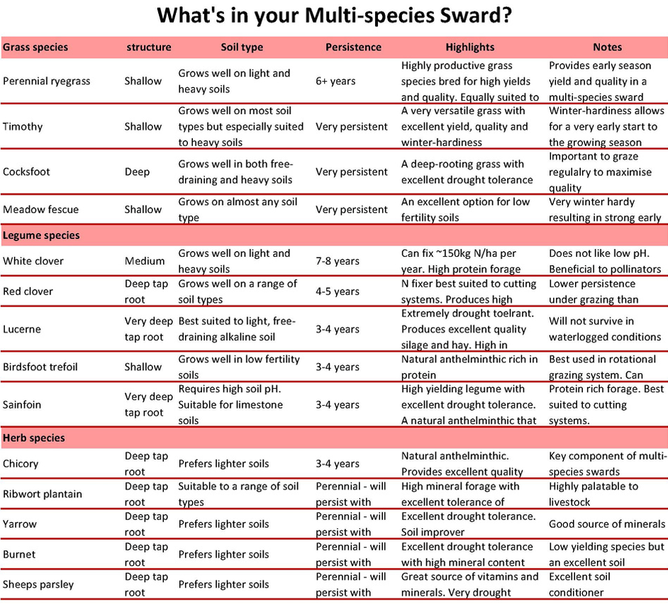 DLF Multi Species Agronomy Guide Multi Species Sward