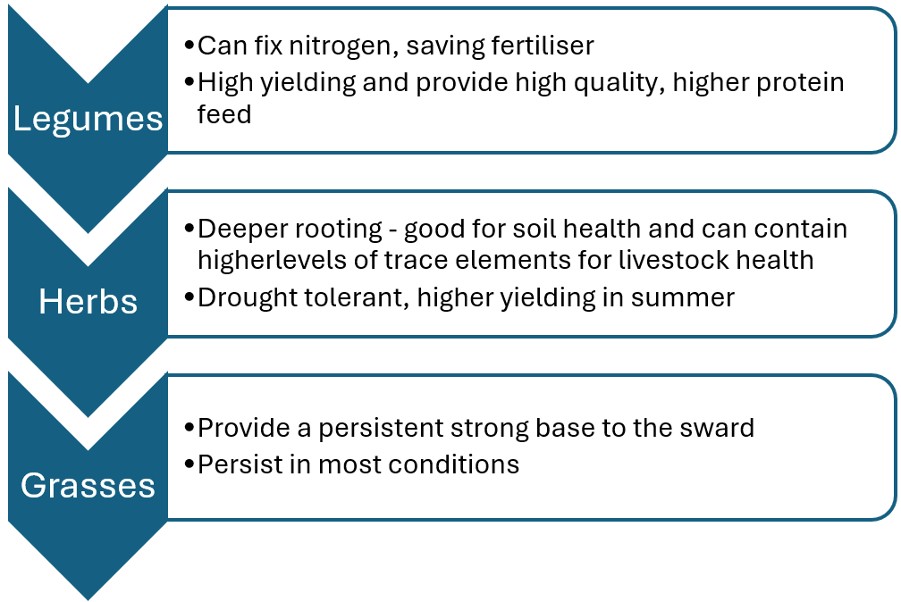 Legumes Herbs and Grasses Diagram_ LG