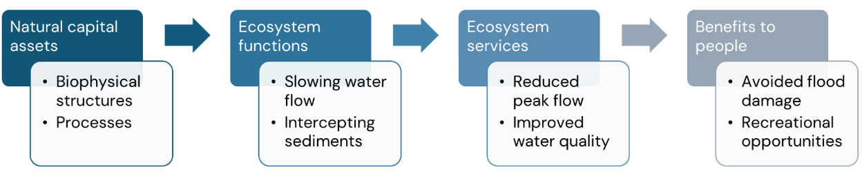 What is natural capital flowchart