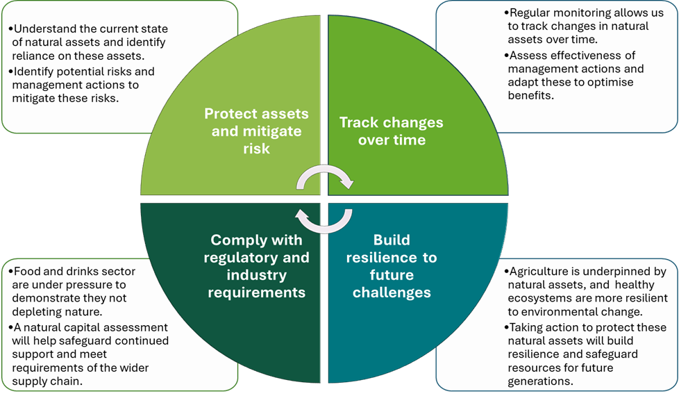 What is natural capital pie chart