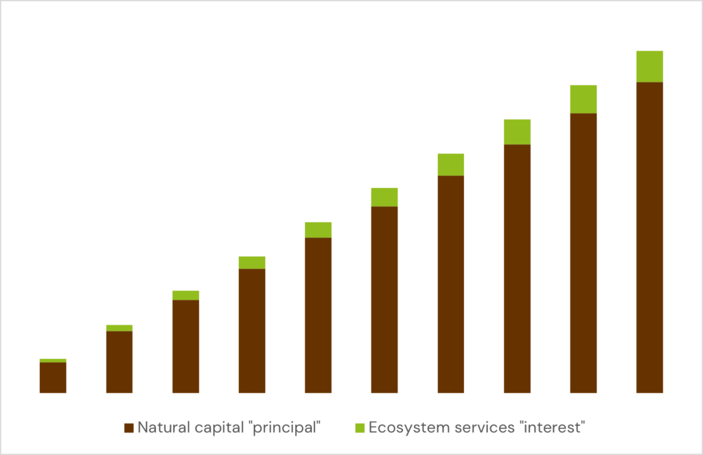 What is natural capital table