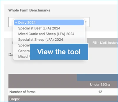 Whole Farm Benchmarks 2024/5