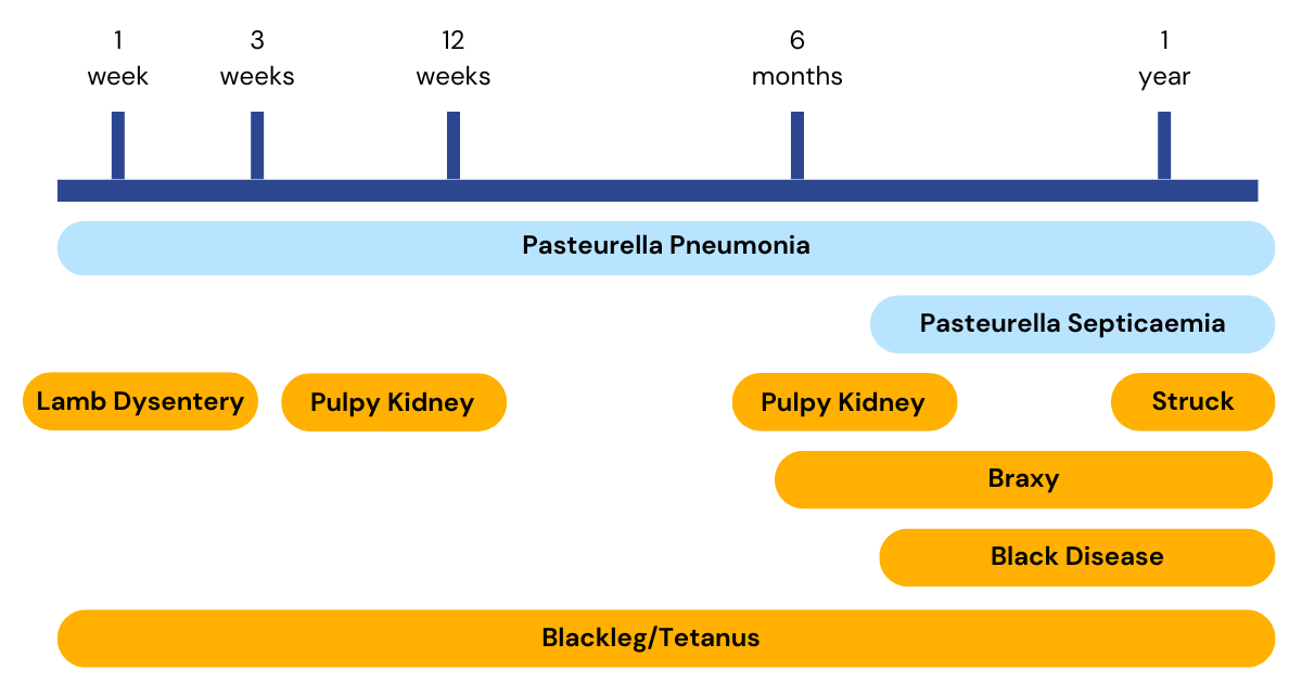 Clostridial article graphic FINAL