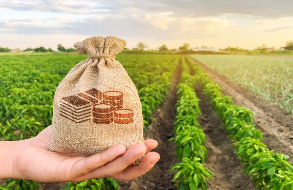 ENVATO agriculture-and money bag