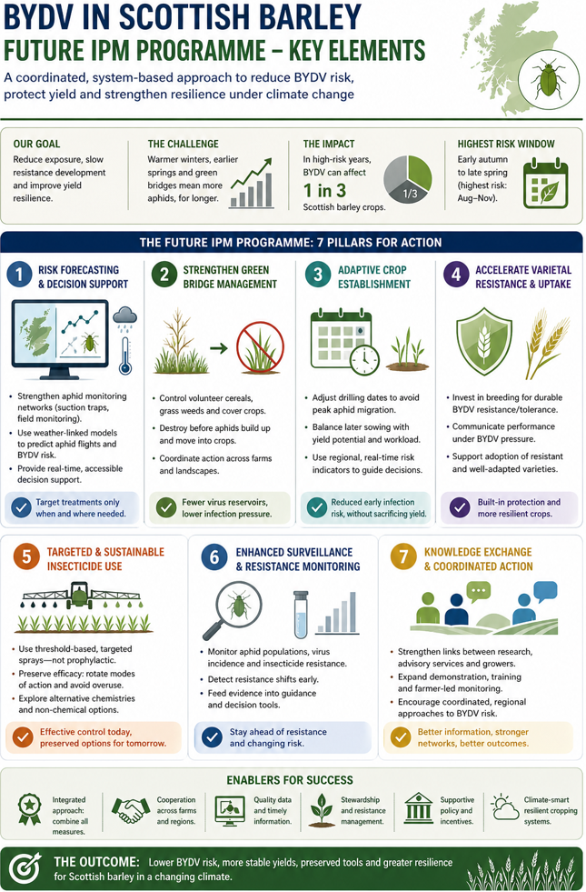 BYDV summary-infographic-2